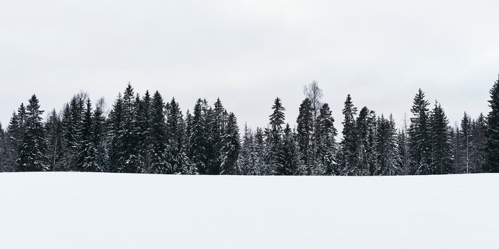 Grue, Hurdal, Norway, February 2026.