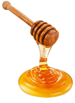 Honey dripping from honey stick on a white background. File contains clipping path.