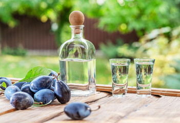 Slivovice, traditional Balkan plum brandy and national drink of Serbia and several Eastern European...