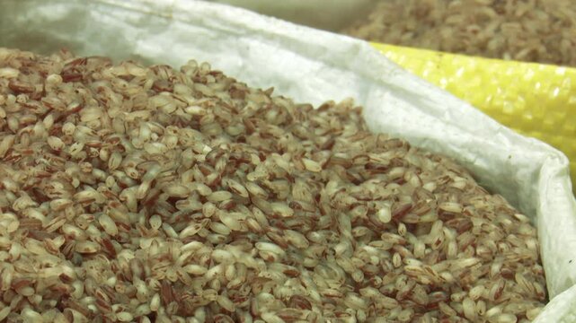 Premium Brown Rice Grains for Sale