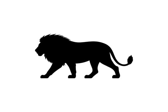 Silhouette of a majestic male lion in profile view.