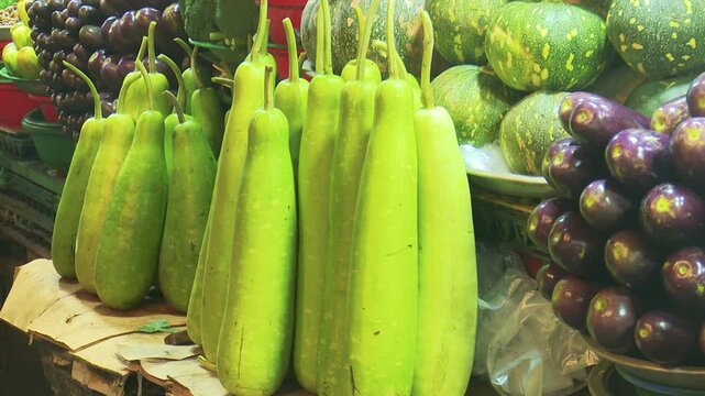 Fresh Ridge Gourd Pile in Vegetable Market