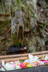 鎌倉26223　安国論寺11　花手水