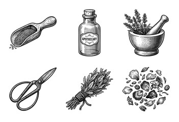 Vintage apothecary collection featuring hand drawn engraving style illustrations of herbal medicine tools and dried botanicals