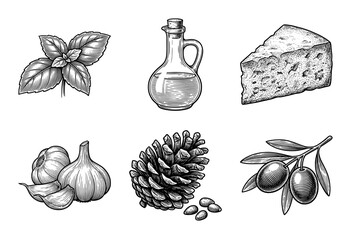 Naklejka premium Vintage hand drawn engraving of pesto sauce ingredients including basil leaves, olive oil, parmesan cheese, garlic, pine nuts, and olives on a branch.