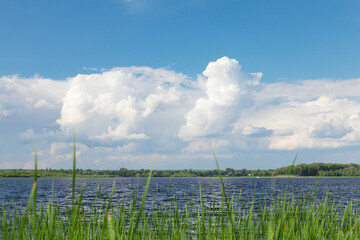 Sunny summer landscape with river and field