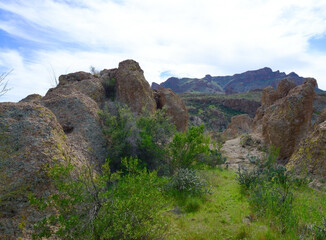 West Border of Tonto National Forest Sonoran Desert Arizona