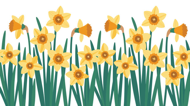 Yellow Daffodils with Green Stems Illustration.
