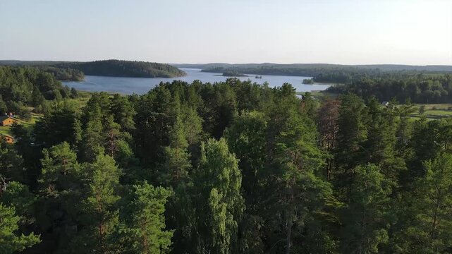 Karelia, green forest and clear water lake, Lake Onega in Russia, Unmanned Aerial Vehicle, Lake Onega