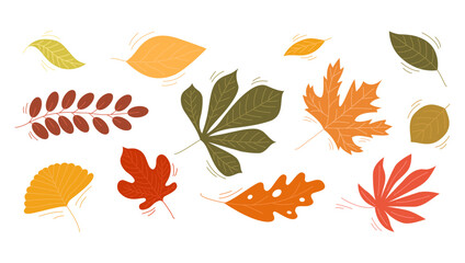 Set of colorful autumn leaves. Falling orange, yellow, and green foliage of maple, oak, and chestnut isolated on white background. Vector seasonal illustration