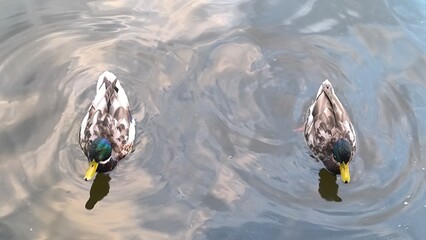 Romans na brzegu © Kinga Domaradzka