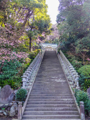 【神奈川県】真鶴町・真鶴 貴船神社