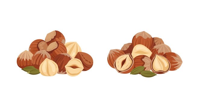 Colorful illustration depicting hazelnuts in various stages of shell opening