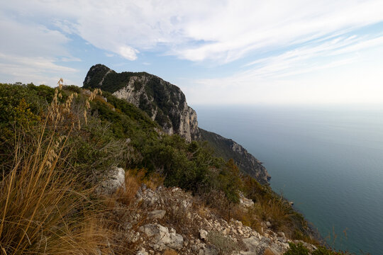 dramatic coastal cliff covered in rugged vegetation above a calm, expansive sea. soft blue sky with clouds. rocky foreground and wild grasses add depth and texture.