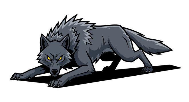 Gray Wolf in Motion.