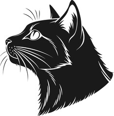 black and white cat © MD. NAZMUL HASAN