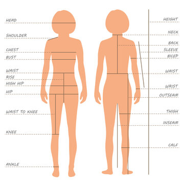 body measurements size chart,