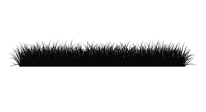 Singel rows of black silhouette grass against a white background