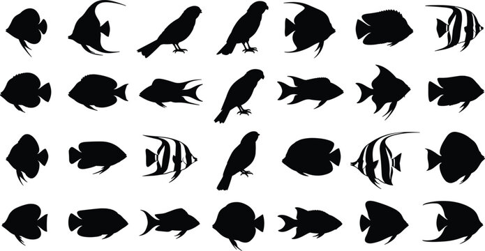 Birds and fish silhouettes vector illustration, wildlife, aquatic species, perched birds, marine biodiversity, nature, environment, education, pattern recognition, design