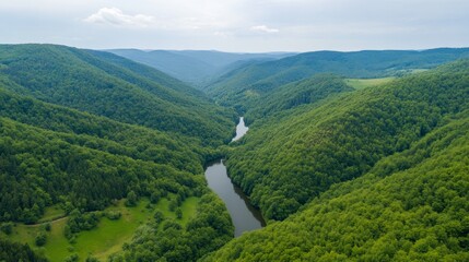 Aerial view of a winding river nestled between lush green hills under a cloudy sky