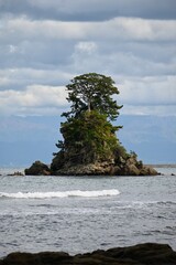 一本の木が立つ小さな島と曇り空の海景 Small rocky island with a lone tree under a cloudy seascape