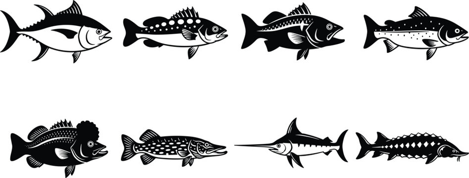 Fish silhouettes vector illustration, marine species, aquatic wildlife, ocean biodiversity, fishing guide, biology education, underwater nature, sturgeon, swordfish, trout