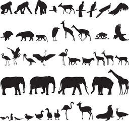 Silhouette animal collection: wildlife vector art isolated on white background, Vector, illustration