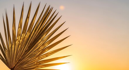 Palm frond silhouette against a vibrant sunset sky, tropical plant close-up.