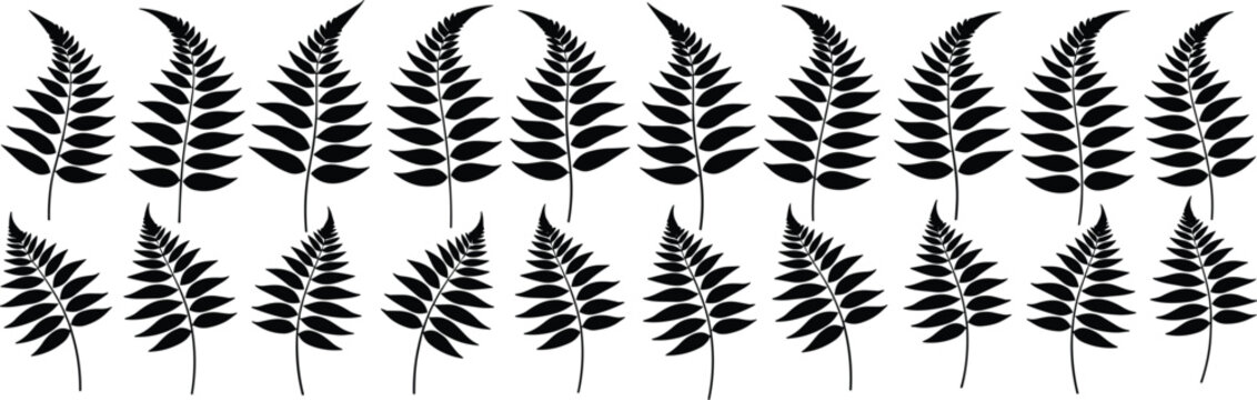 Seamless black fern leaves pattern on transparent background, decorative natural plant elements