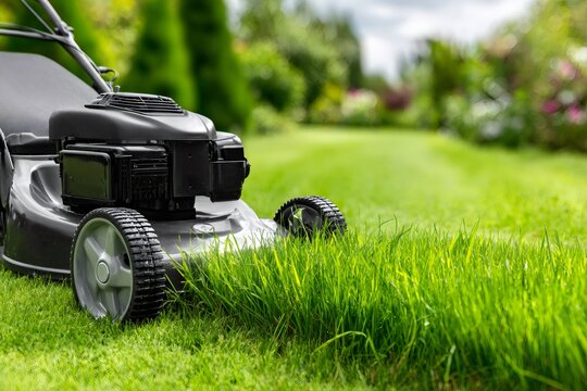 Lawnmower moving across fresh green grass