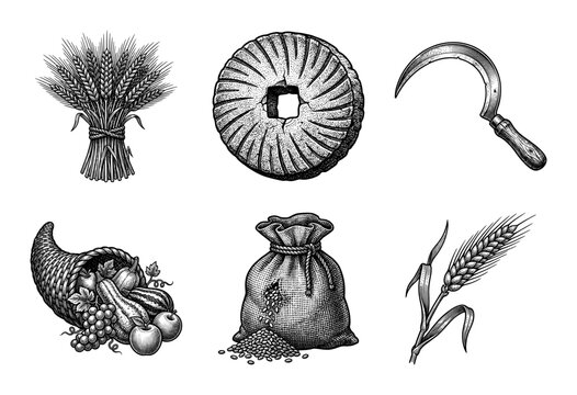 Vintage engraving style agricultural icons set featuring wheat bundle millstone sickle cornucopia and grain sack