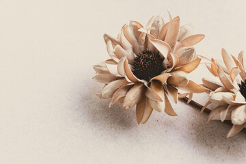 ベージュ　花　背景　シンプル　おしゃれ　壁紙　ナチュラル