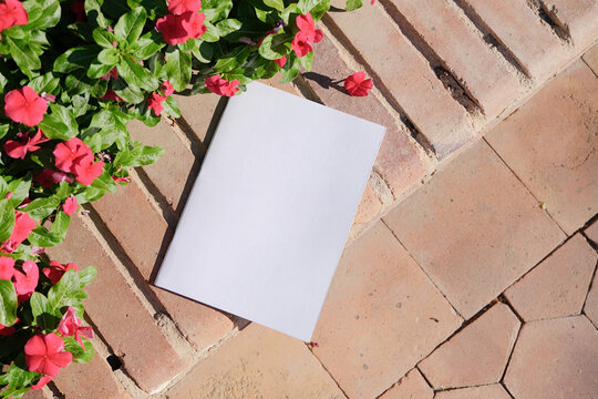 empty magazine mockup on brick terrace near red catharanthus flowers hard light
