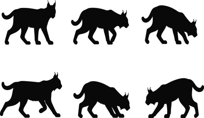 Lynx silhouette set with wild cat walking and stalking poses, feline predator icons in flat vector style for CAD drawing, wildlife nature design © Shree