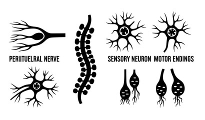 Brain Lightbulb Line Icon Vector – Creative Thinking Symbol © Protima