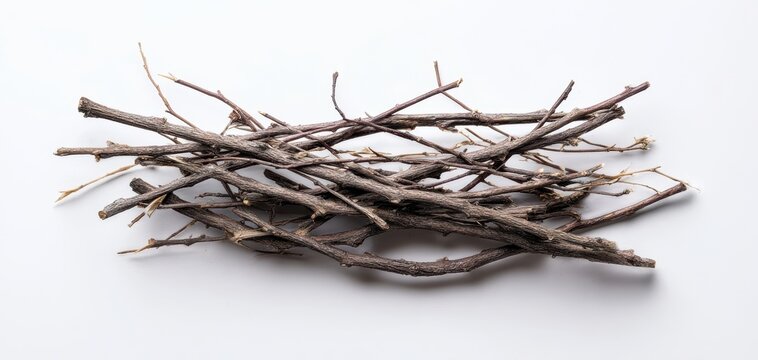 The sticks and twigs neatly arranged in a rustic pile on white background