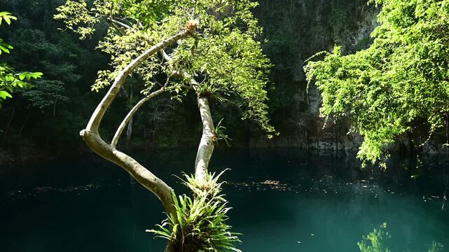 A natural emerald pool with a terrace Lom Phu Kiew in Ngao District, Lampang, Thailand.