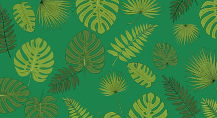 Tropical leaves pattern featuring monstera, philodendron, and other foliage in various shades of green on a solid background viewed from directly above © Avra