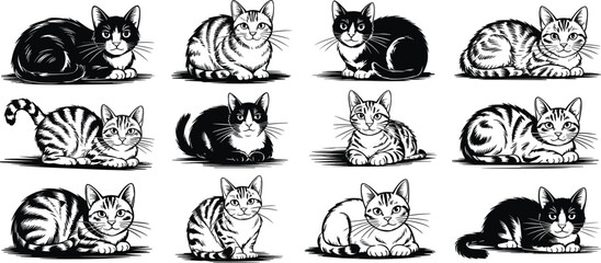 Black and white illustrated cats grid, feline character variations, cute pet drawing collection, artistic animal patterns, playful vector design art © Md Shahedul