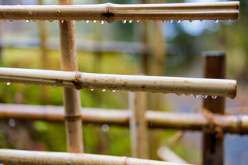 雨に濡れた竹垣と滴る水滴