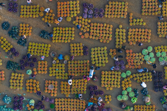 Sylhet, Bangladesh - 07 February 2026: Aerial view of vibrant, organized rows of produce create a textured mosaic of colors and shapes, reflecting the daily life and commerce.