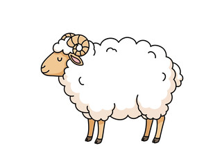 Cartoon ram illustration with large white fleece and curved horns on white background © firman