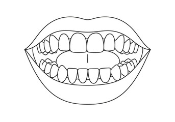 Obraz premium Black and white outline drawing of an open mouth showing upper and lower teeth