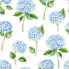 Seamless pattern of blue hydrangeas white