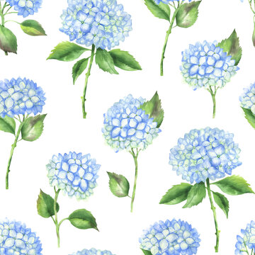 Seamless pattern of blue hydrangeas white