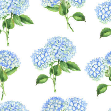 Seamless pattern of hydrangea bouquet white