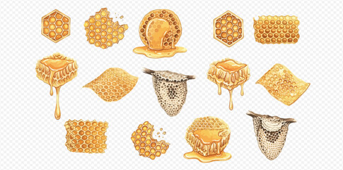 Set of watercolor illustrations of honeycombs, honey, and bee skeps in various shapes and forms. © studio