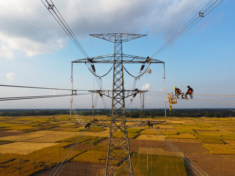 Aerial view of workers balancing on high-voltage transmission lines against a backdrop of golden fields, a testament to human endeavor, Joypurhat, Rajshahi Division, Bangladesh.