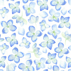 Seamless pattern of hydrangea flowers white