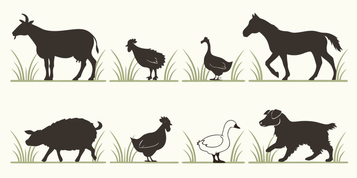 A visual representation of the evolution of horses from prehistoric times to modern day Vector